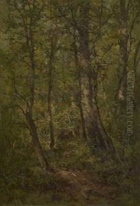 Cerf Et Biches Enforet