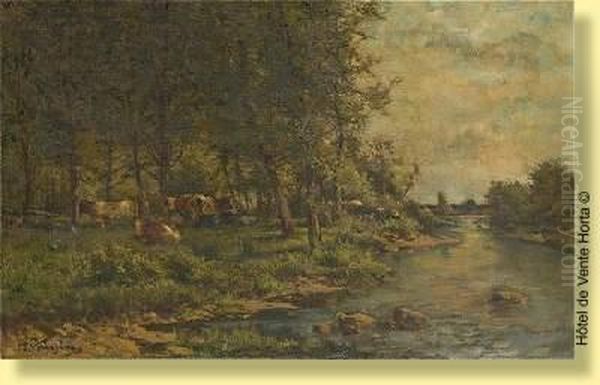 Vaches Dans Un Pre Au Bord D'un Cours D'eau - view 1