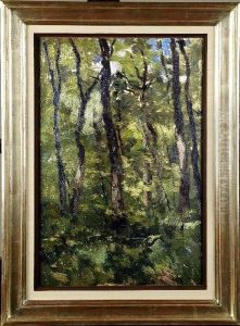 Sous-bois Vert