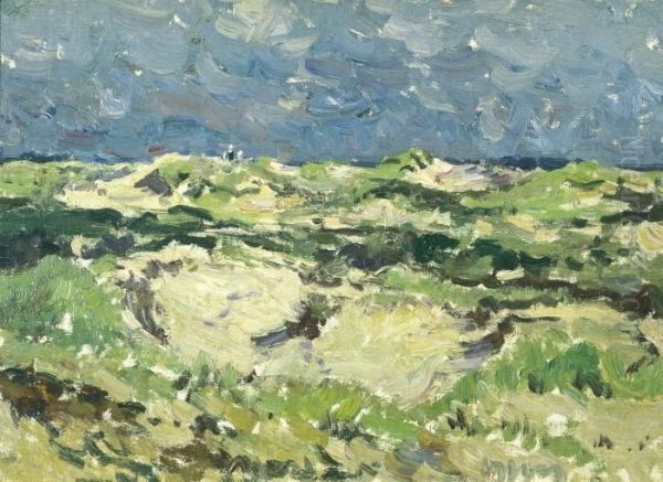 View From The Dunes - view 1