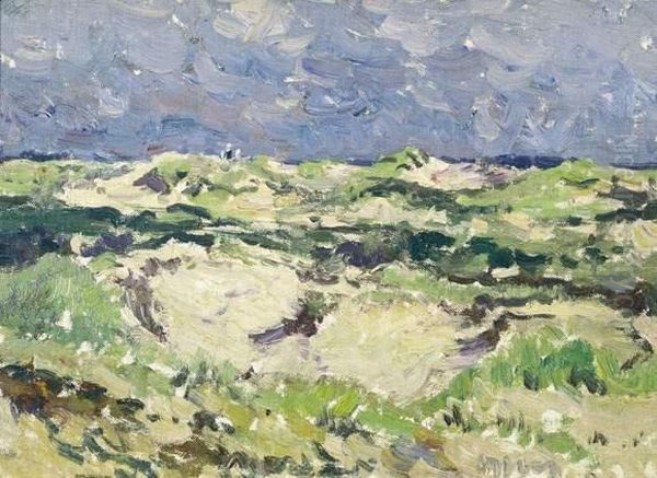 Zicht In De Duinen - view 1