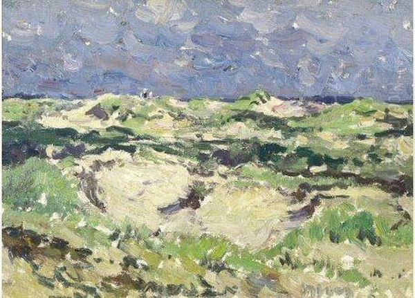 Gezicht In De Duinen - view 1
