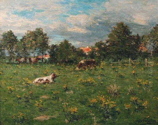 Cattle Resting In A Summer Meadow - view 1