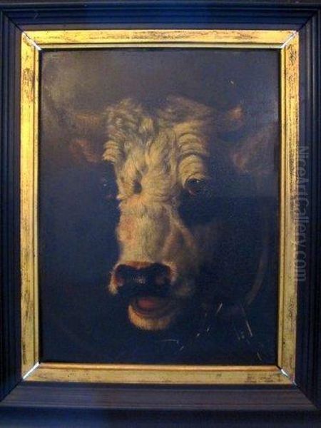 Vache. - view 1