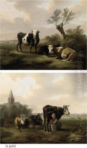 Cattle Resting; And Milking Time