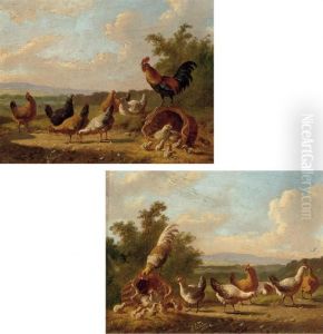 Chickens In The Farmyard by Albertus Verhoesen
