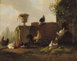 Pluimvee: Chickens In The Sun by Albertus Verhoesen