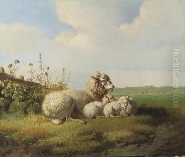 In The Meadow - view 1