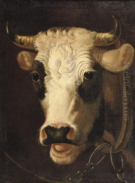The Bull - view 1