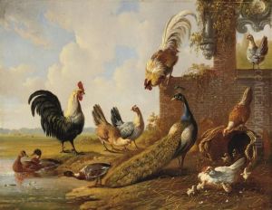 Poultry Near A Ruin