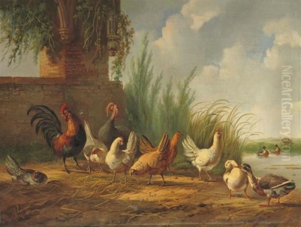 Poultry Near The Waterfront - view 1