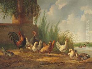 Poultry Near The Waterfront by Albertus Verhoesen