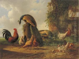 Poultry Near A Ruin