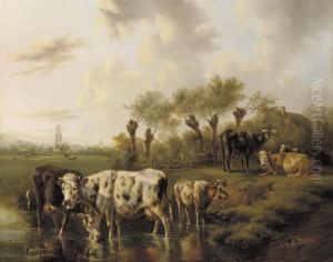 Cattle In A Meadow With The City Of Utrecht In The Distance