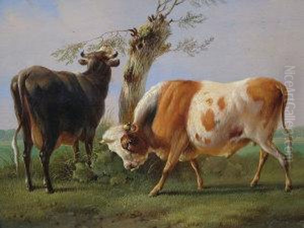 A Bull And A Cow In A Paddock And Feeding From Atree - view 1