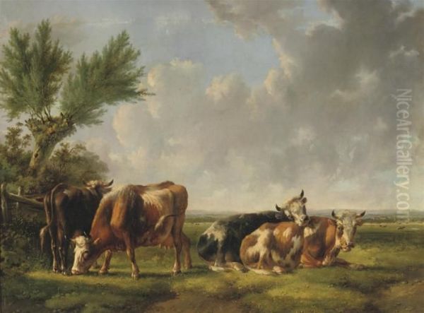Cattle Resting In The Meadow - view 1