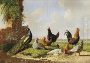A Peacock, Rooster And Hens In A Landscape by Albertus Verhoesen