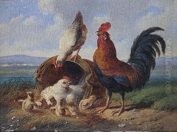 Rooster, Hens And Chicks In A Field - view 1