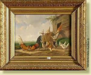 Coqs Et Poules by Albertus Verhoesen