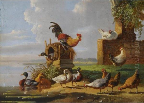 Poultry On The Waterfront - view 1