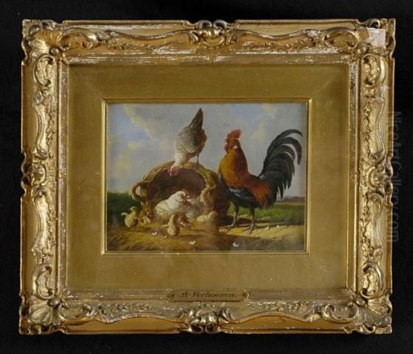 Poultry In The Yard - view 1