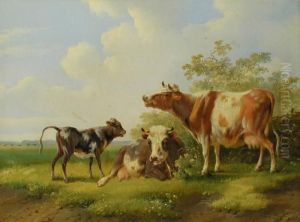 Kuhe Und Kalb
