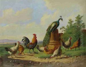Huhner Und Pfau by Albertus Verhoesen