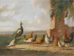 Chickens In A Yard by Albertus Verhoesen