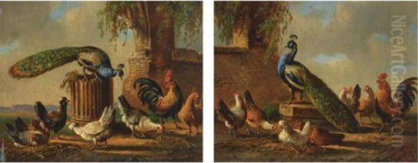 A Peacock With Poultry In A Landscape; Poultry In Classical Surroundings - view 1
