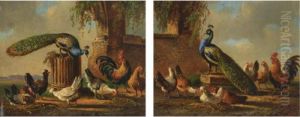 A Peacock With Poultry In A Landscape; Poultry In Classical Surroundings by Albertus Verhoesen