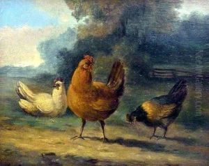 Huhnervolk Auf Einer Wiese by Albertus Verhoesen