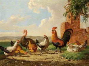 A Turkey And Further Poultry by Albertus Verhoesen