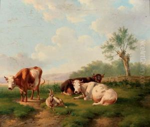 Cattle In An Extensive Landscape Cattle In An Extensive Landscape