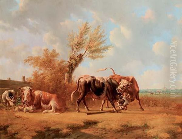Fighting Bulls - view 1