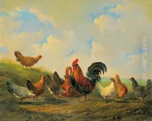 Gallo Fiero Con Le Sue Galline by Albertus Verhoesen
