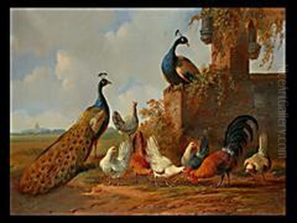 Zwei Pfauen Sowie Huhner Und Hahn Vor Landschaft Undruinenarchitektur - view 1