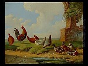 Huhner Und Enten Am Weiher by Albertus Verhoesen