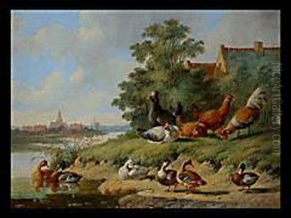 Federvieh An Flusslauf Mit Architektur - view 1