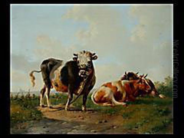Drei Kuhe Auf Weide - view 1