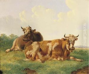 Cattle In A Sunny Meadow by Albertus Verhoesen