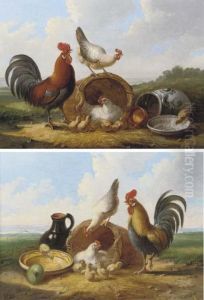 Poultry In An Extensive Landscape