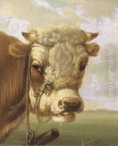 A Bull's Head