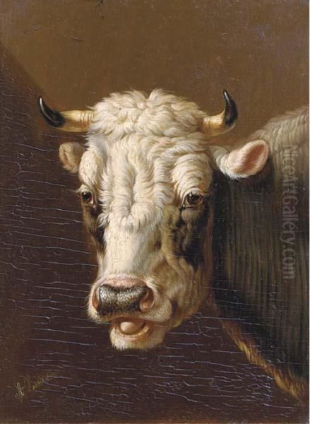 A Cow's Head - view 1
