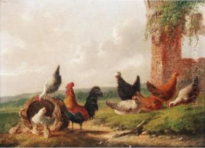 Cockerel And Chickens; Peacock, Cockerel And Chickens by Albertus Verhoesen