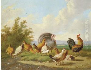 A Turkey And Fowl In A Landscape