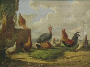 Turkey And Fowl Near Ruins