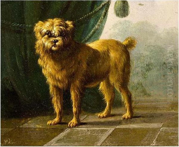 A Dog - view 1