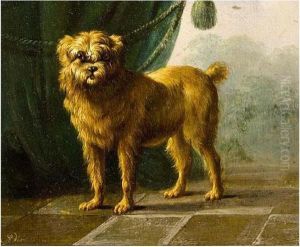 A Dog A Dog