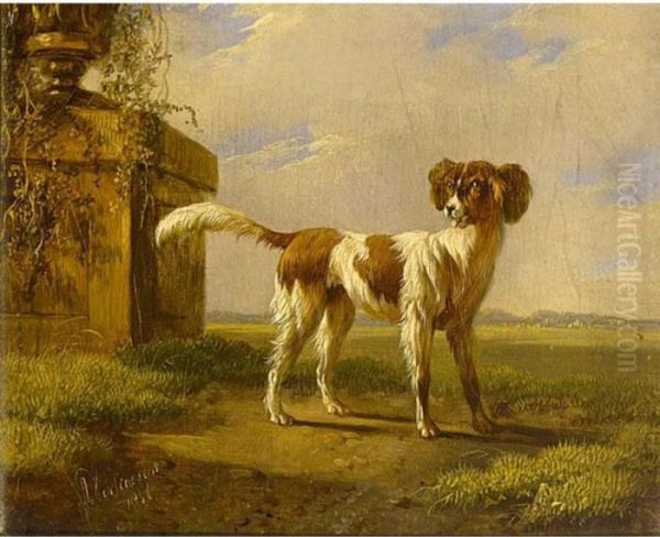 A Dog In A Landscape - view 1