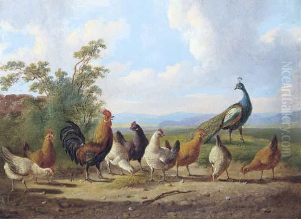Cheerful Chickens - view 1